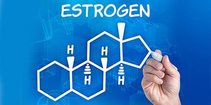 EstroTrax™ Natural Estrogen Blocker
