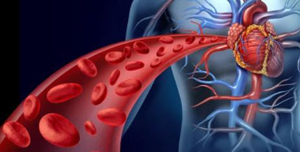 HemoLift™ - Advanced Iron Supplement For Blood Cell Production - With Ferrous Fumarate