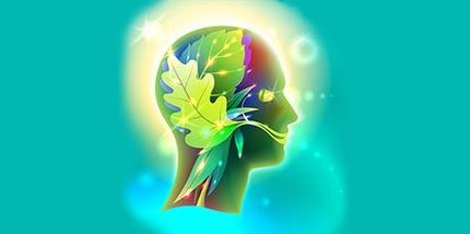 ImmuniPrime™ - Healthy Immune System Support Supplement