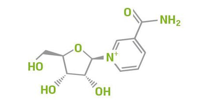 Niagen® - Nicotinamide Riboside