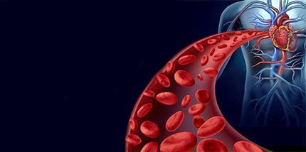 OptiVasc™ - Blood Circulation Booster Supplement - Supports Healthy Blood Flow
