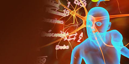 Uridine Monophosphate Capsules - Supercharge Your Brain