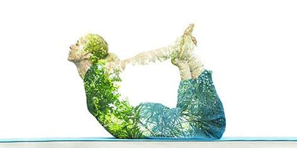 Vitalify™ - Stress & Fatigue Supplement - Advanced CFS Support Formula