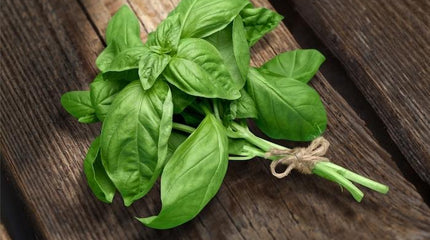 Everything You Need to Know About Adaptogens - Natures Natural Stress & Cortisol Reducer, Energy Booster and Hormone Optimizer