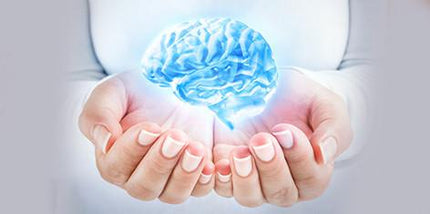 Alpha GPC Capsules - The Best Choline Supplement That Crosses Blood-Brain Barrier