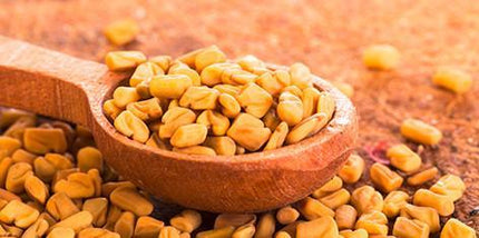 The Athlete Stack™ - Fenugreek Seed Extract + GPLC
