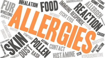 Low Histamine Diet - Anti-Histamine Foods to Fight Allergies