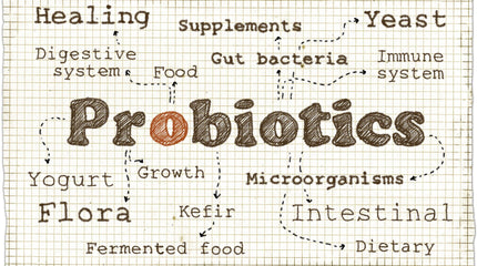 Low Histamine Probiotics: How to Balance Your Gut and Stop Symptoms for GOOD