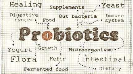 How Probiotics Can Help With Constipation - How To Use Probiotics For Digestion Relief